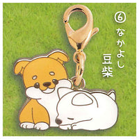 Zu-tto Issho Shibainu Metal Charm [6.Nakayoshi Mameshiba]