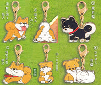 Zu-tto Issho Shibainu Metal Charm [All 6 type set(Full Complete)]