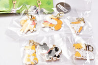 Zu-tto Issho Shibainu Metal Charm [All 6 type set(Full Complete)]