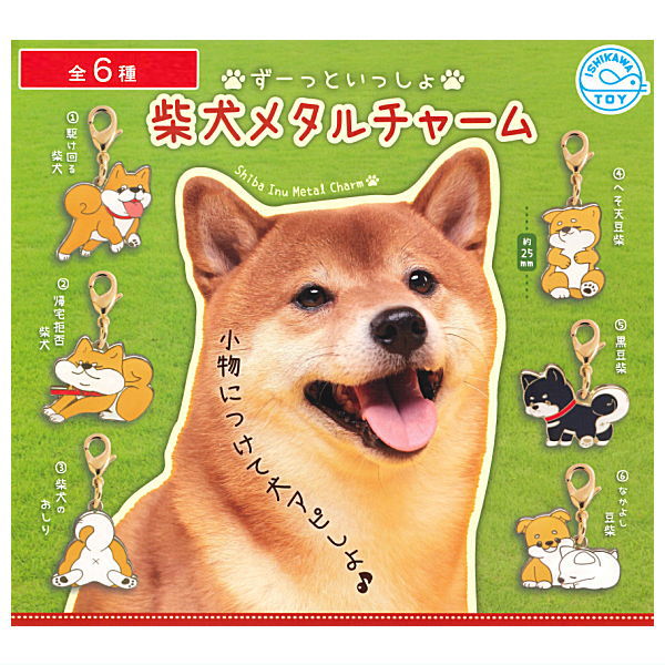 Zu-tto Issho Shibainu Metal Charm [All 6 type set(Full Complete)]