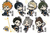 Deformed Rubber! Haikyu!! Karasuno High School Keychain [All 7 type set (Full Complete)]