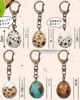 UZURA EGG Quail egg [All 6 type set (Full Complete)]