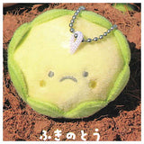Ulnui Baby wild plants [4.Fukinotou]