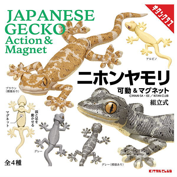 Japanese gecko Action & Magnet [All 4 type set (Full Complete)]