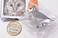 Capsule Q Fortune Owl Collection [1.African scops owl]