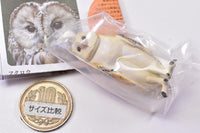 Capsule Q Fortune Owl Collection [2.Barn owl]