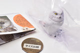 Capsule Q Fortune Owl Collection [3.Snowy owl]