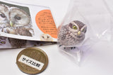 Capsule Q Fortune Owl Collection [5.Little owl]