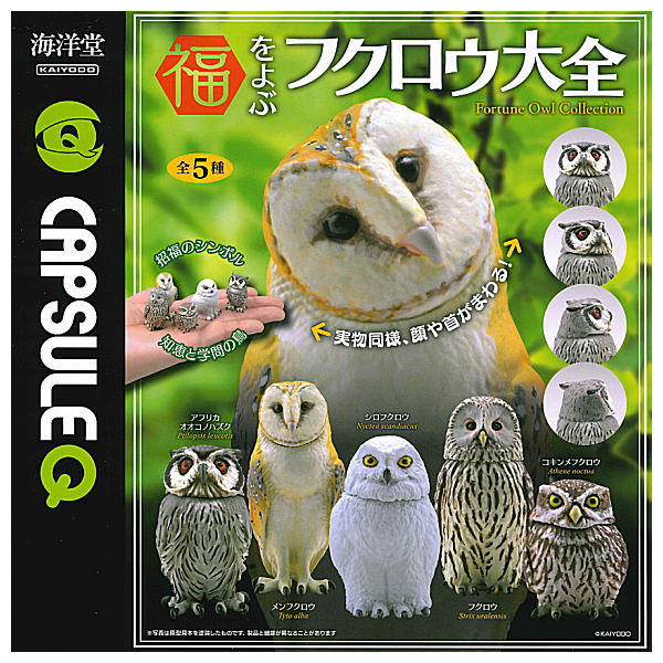 Capsule Q Fortune Owl Collection [All 5 type set(Full Complete)]