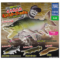 World Fishing War Monster Fish Catch the mysterious fish! [All 4 type set(Full Complete)]