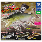 World Fishing War Monster Fish Catch the mysterious fish! [All 4 type set(Full Complete)]