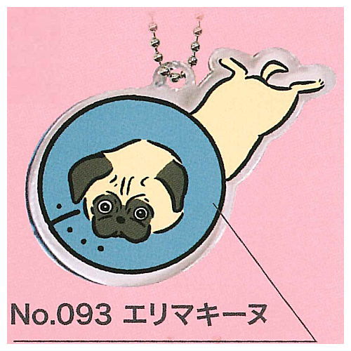 Weird dog picture book acrylic key chain [5.Erimakiinu]