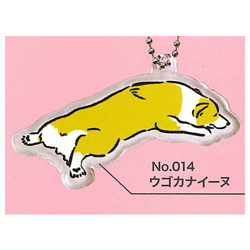 Weird dog picture book acrylic key chain [6.Ugokanaiinu]