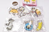 Weird dog picture book acrylic key chain [All 6 type set (Full Complete)]