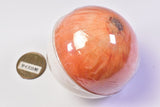 Korokore Mugyugyu! vegetable ball collection [6.Onion]