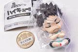 Shoulder Zun Fig. Haikyu!! Part2 [2.Hajime Iwaizumi]