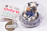 Only Wan ! Vol 03 PUPPY SERIES [1.David (Pug)]