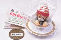 Only Wan ! Vol 03 PUPPY SERIES [2.Parker (Cavalier)]