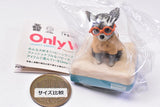 Only Wan ! Vol 03 PUPPY SERIES [3.Brown (Chihuahua)]