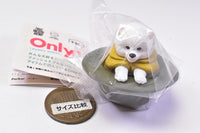 Only Wan ! Vol 03 PUPPY SERIES [5.Clara (Pomeranian)]