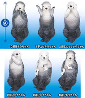 PukaPuka sea otters Mei and Kira [All 6 type set(Full Complete)]