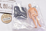 TAMA-KYU Human evolution [5.Homo sapiens]