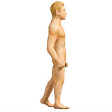 TAMA-KYU Human evolution [5.Homo sapiens]
