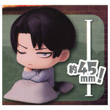 Onemutan Attack on Titan [5.Levi Ackerman]