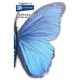 World Butterfly Real Magnet Collection Vol.1 [1.Morpho menelaus]