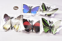World Butterfly Real Magnet Collection Vol.1 [All 5 type set (Full Complete)]