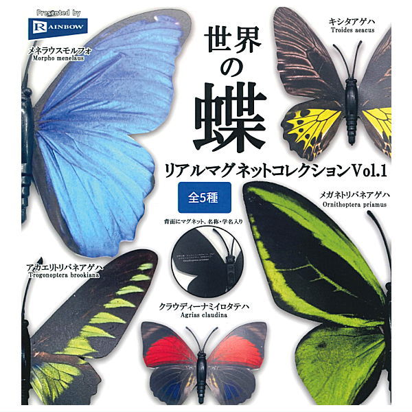 World Butterfly Real Magnet Collection Vol.1 [All 5 type set (Full Complete)]