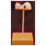 Animal candy craft [1.Cat]