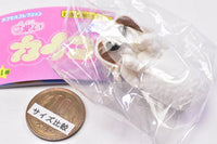 Cute silkworm [4.Emergence]