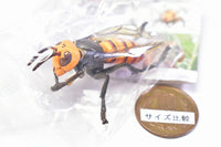 Capsule Q Eisei gaichu hakurankai [1.Vespa mandarinia]