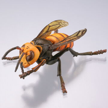 Capsule Q Eisei gaichu hakurankai [1.Vespa mandarinia]