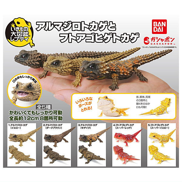 The Diversity of Life on Earth Repti Armadillo girdled lizard and Central bearded dragon [All 5 type set (Full Complete)]