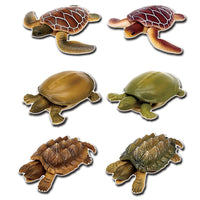 Turtles of the world 1 [All 6 type set (Full Complete)]