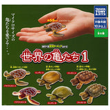 Turtles of the world 1 [All 6 type set (Full Complete)]