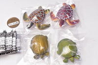 Turtles of the world 1 [Assorted 4 type set (1.Green sea turtle A/2.Green sea turtle B/3.Softshell turtle A/4.Softshell turtle B)]