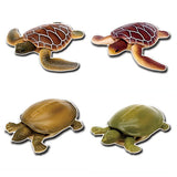 Turtles of the world 1 [Assorted 4 type set (1.Green sea turtle A/2.Green sea turtle B/3.Softshell turtle A/4.Softshell turtle B)]