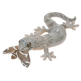 Nature Techni colour MONO PLUS Lizards and geckos magnets & ball chains [6.Japanese gecko (predation) Magnet]