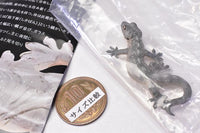 Nature Techni colour MONO PLUS Lizards and geckos magnets & ball chains [7.Japanese gecko Magnet]