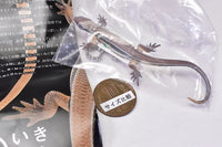 Nature Techni colour MONO PLUS Lizards and geckos magnets & ball chains [10.Japanese lizard (adult) Ball Chain]