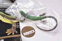 Nature Techni colour MONO PLUS Lizards and geckos magnets & ball chains [11.Aokana Snake (Male) Ball Chain]