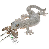 Nature Techni colour MONO PLUS Lizards and geckos magnets & ball chains [14.Japanese gecko (predation) Ball Chain]