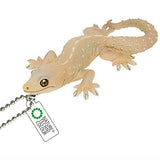 Nature Techni colour MONO PLUS Lizards and geckos magnets & ball chains [16.Common house gecko Ball Chain]