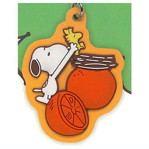 PEANUTS SNOOPY Mejirushi rubber charm Fruits ga ippai! [5.Orange]