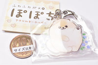 Fuwafuwa pome Popochi Acrylic Keychain [1.Popochi]