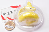 Mukikitsune mascot figure [6.Grapefruit]