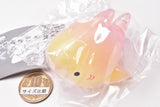 Mochikko Shark Clears sofubi Part.2 [5.Yellow & pink]